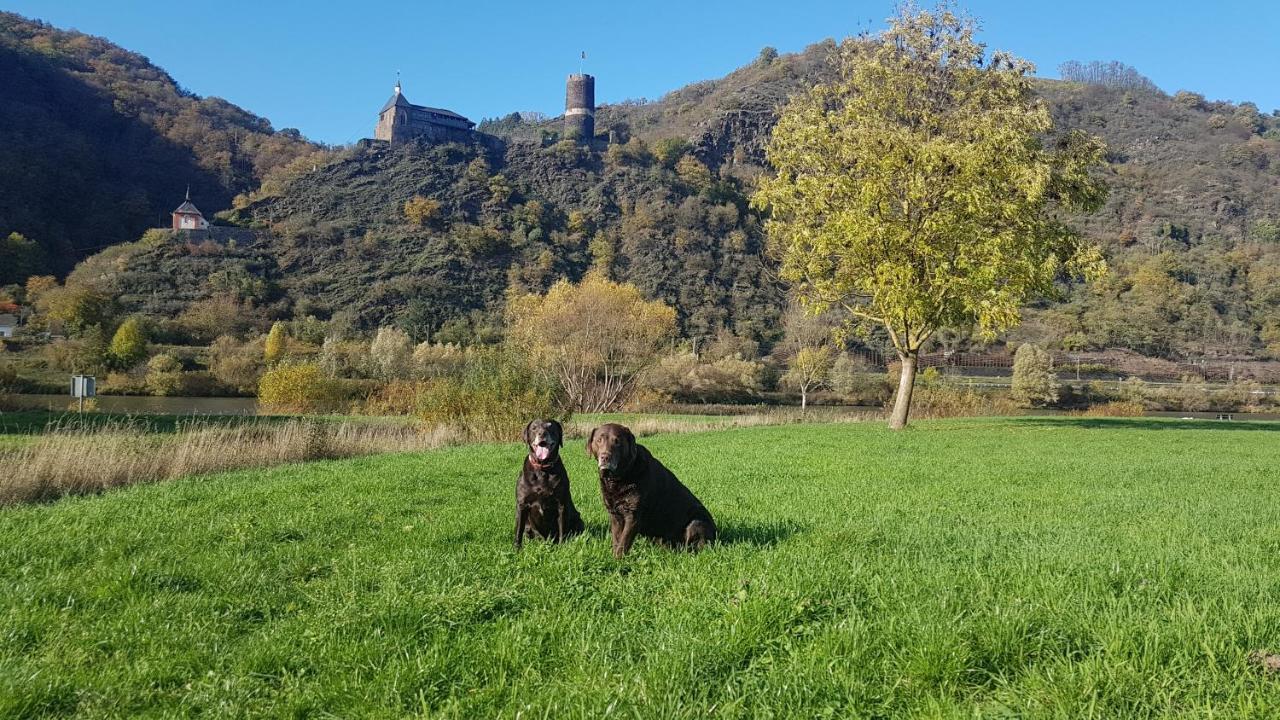 Ferienhaus Leopold Mit Burgblick An Der Mosel Burgen  Exterior photo