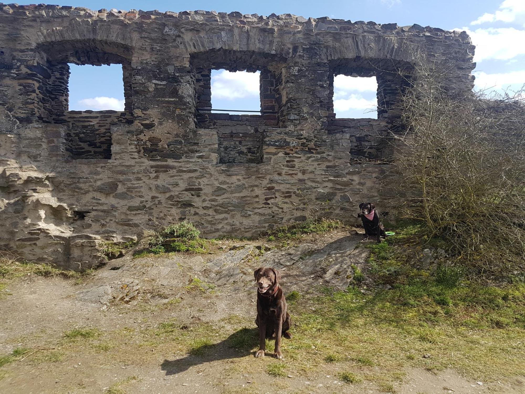 Ferienhaus Leopold Mit Burgblick An Der Mosel Burgen  Exterior photo